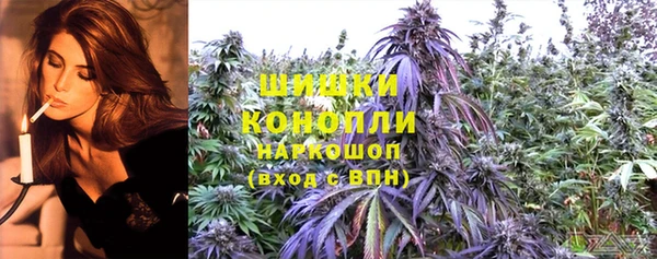 шишки Абинск