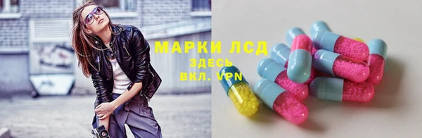 тгк Алексин