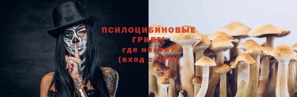тгк Алексин
