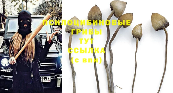 скорость Алзамай