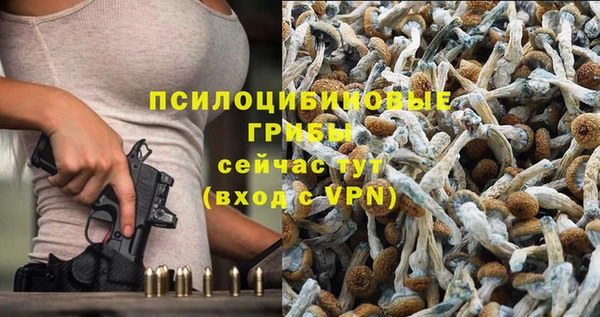 тгк Алексин
