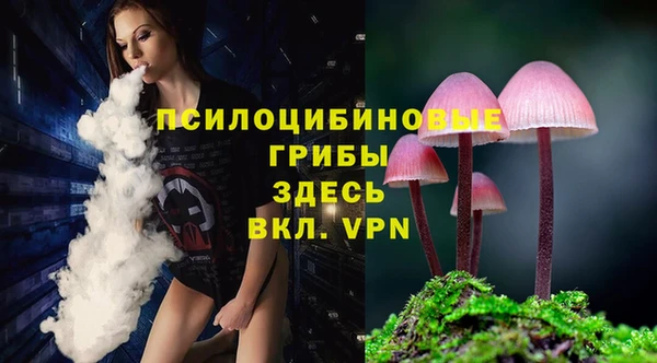 шишки Абинск