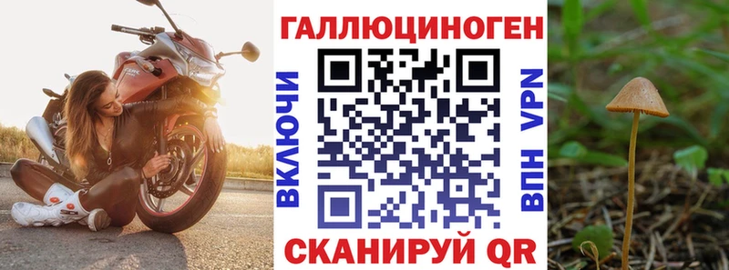 кракен маркетплейс  Нижняя Тура  Галлюциногенные грибы прущие грибы 